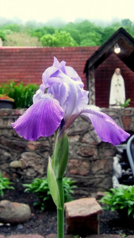 Maria's Garden&Inn Berkeley Springs Exterior foto